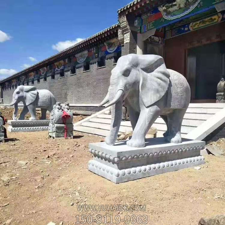 庭院門口大型大理石石雕的鎮宅招財大象雕塑